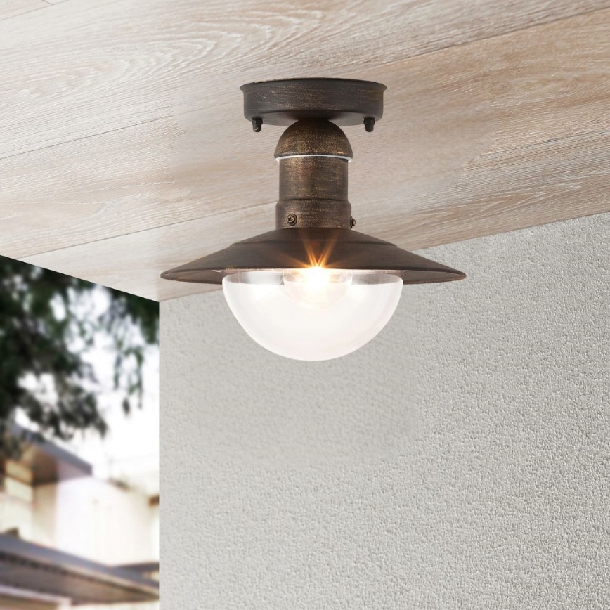 Brilagi - Outdoor Ceiling Light MOLDE 1xE27/60W IP44 Bronze with Patina