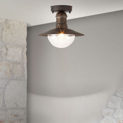Brilagi - Outdoor Ceiling Light MOLDE 1xE27/60W IP44 Bronze with Patina