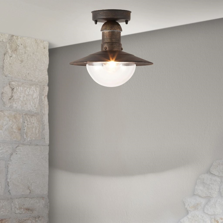 Brilagi - Outdoor Ceiling Light MOLDE 1xE27/60W IP44 Bronze with Patina