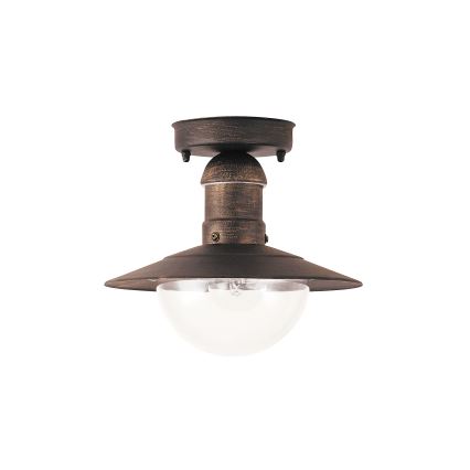 Brilagi - Outdoor Ceiling Light MOLDE 1xE27/60W IP44 Bronze with Patina
