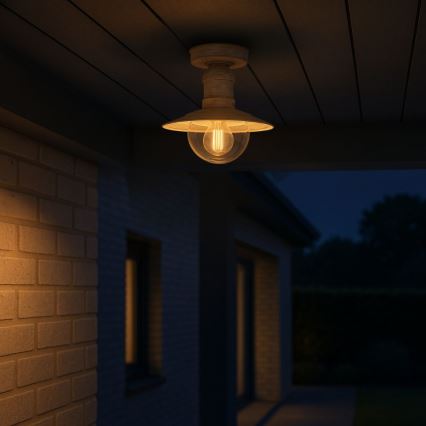 Brilagi - Outdoor ceiling light MOLDE 1xE27/60W IP44 white/patina