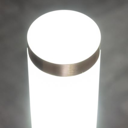 BRILAGI - ELIA outdoor wall light with sensor 1xE27/20W/230V IP44 matte chrome