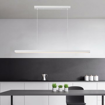 Brilagi - PAXIS Cable-Suspended LED Pendant Light, 30W, 230V, 120 cm, White