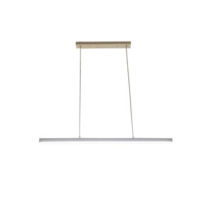 BRILAGI - PAXIS Cable-Suspended LED Pendant Light, 30W, 230V, 120 cm, White