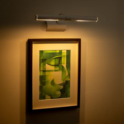 Brilagi - Picture light DANAE 2xE14/40W/230V white