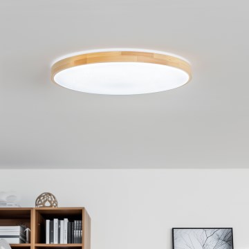 Brilagi - PINE Dimmable LED Ceiling Light LED/60W/230V Ø 52 cm 3000-6500K + Remote Control