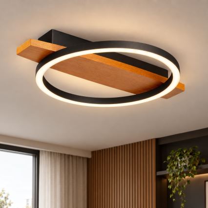 BRILAGI - PLANK LED Ceiling Light, 16W/230V, 4000K, 30x40 cm, Wood