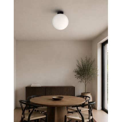 BRILAGI - POLOS ceiling light 1xE27/40W/230V Ø 30 cm black