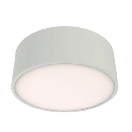 Brilagi - POOL Bathroom ceiling light 2xE27/15W/230V Ø 30 cm IP54 white