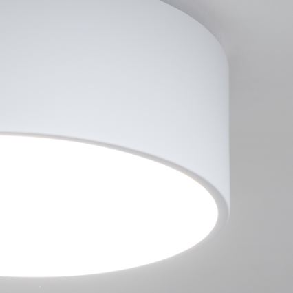 Brilagi - POOL Bathroom ceiling light 2xE27/15W/230V Ø 30 cm IP54 white