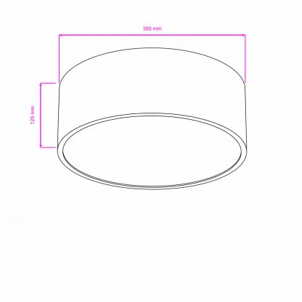 Brilagi - POOL Bathroom ceiling light 2xE27/15W/230V Ø 30 cm IP54 white