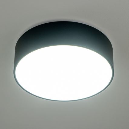 BRILAGI - POOL Bathroom Ceiling Light 3x E27/15W/230V, Ø 40 cm, IP54, Black