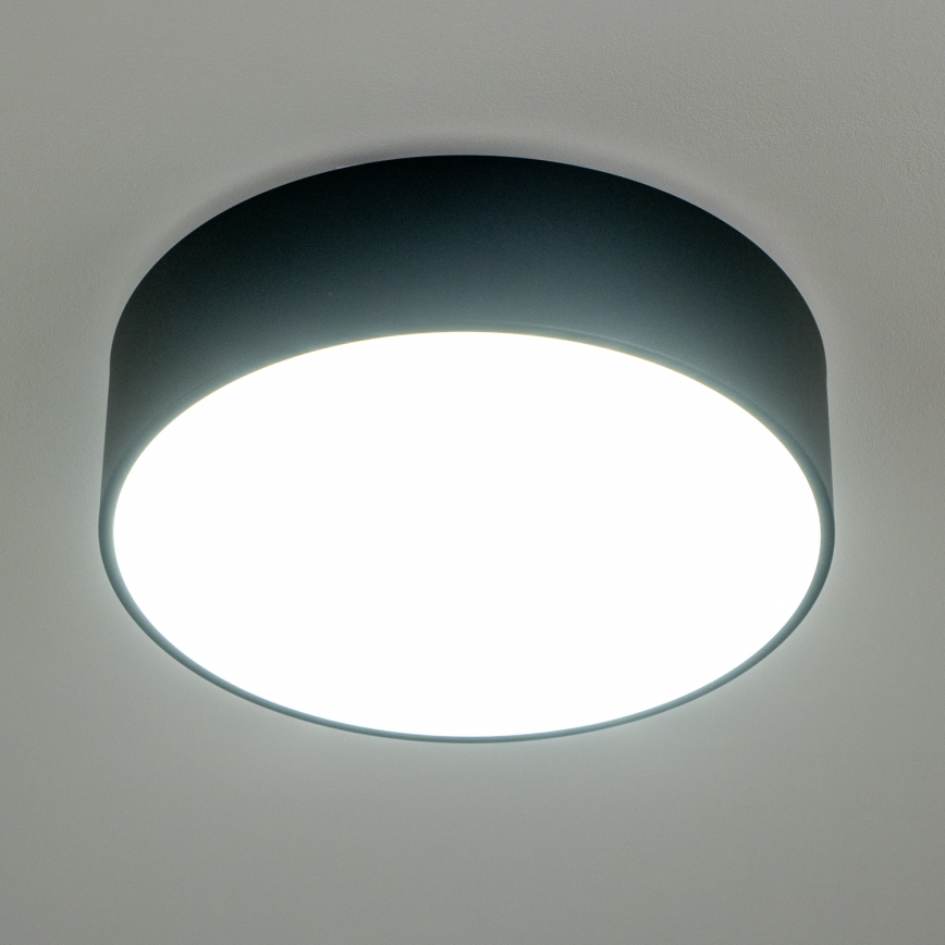 BRILAGI - POOL Bathroom Ceiling Light 3x E27/15W/230V, Ø 40 cm, IP54, Black