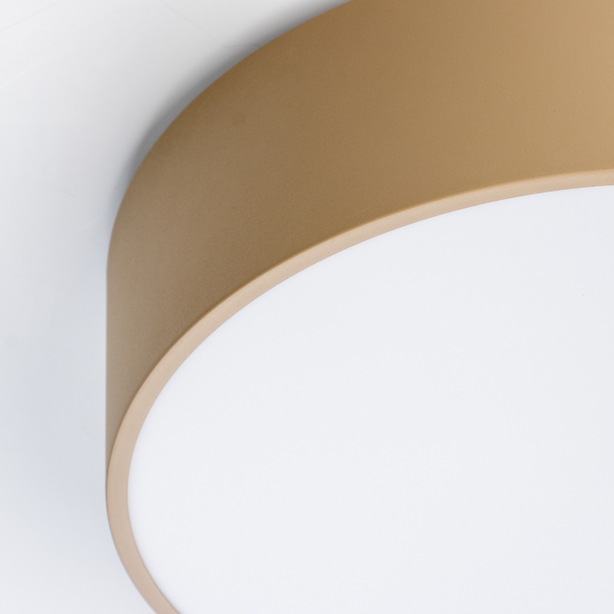 BRILAGI - POOL Bathroom Ceiling Light, 3× E27 (15 W each), 230 V, Ø 40 cm, IP54, Beige
