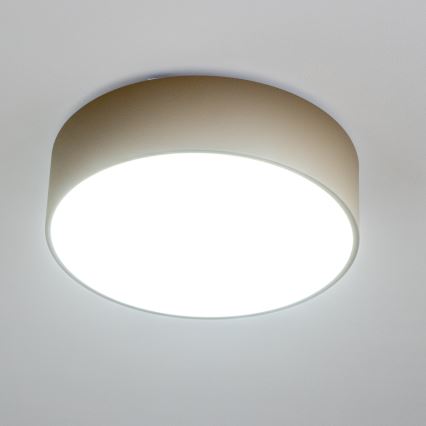 BRILAGI - POOL Bathroom Ceiling Light, 3× E27 (15 W each), 230 V, Ø 40 cm, IP54, Beige