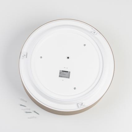 BRILAGI - POOL Bathroom Ceiling Light, 3× E27 (15 W each), 230 V, Ø 40 cm, IP54, Beige