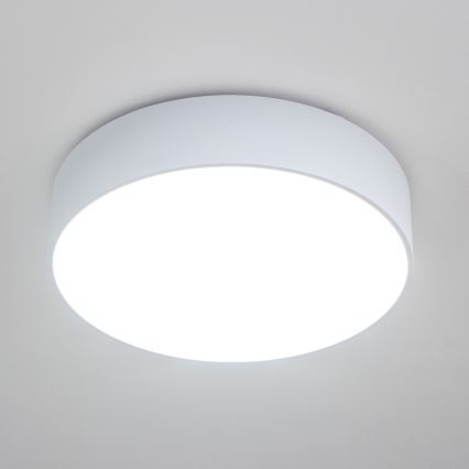 BRILAGI - POOL Bathroom Ceiling Light 4xE27/15W/230V Ø 50 cm IP54 White