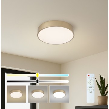 BRILAGI - POOL LED/36W/230V 3000-6000K Ø30 cm Gold + Remote Control
