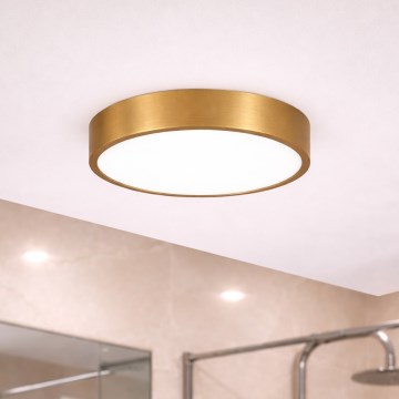 Brilagi - POOL LED Bathroom Ceiling Light/24W/230V 3000/4000/5500K dia. 30 cm IP54 Bronze