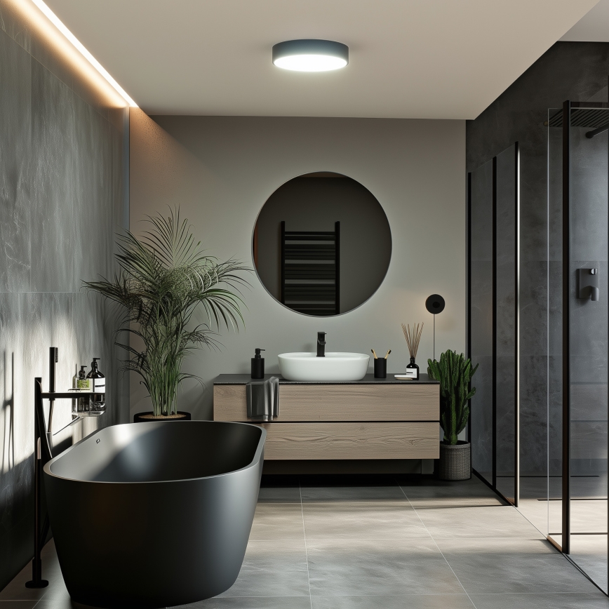 BRILAGI - POOL LED Bathroom Ceiling Light 24W/230V, selectable 3000/4000/5500K, Ø 30 cm, IP54, Black