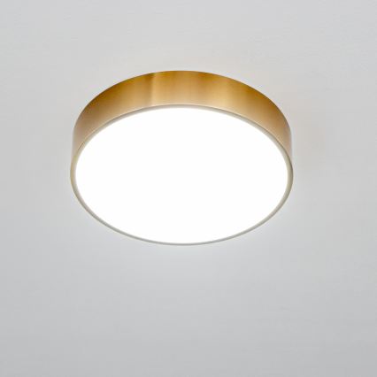 Brilagi - POOL LED Bathroom Ceiling Light/24W/230V 3000/4000/5500K dia. 30 cm IP54 Bronze
