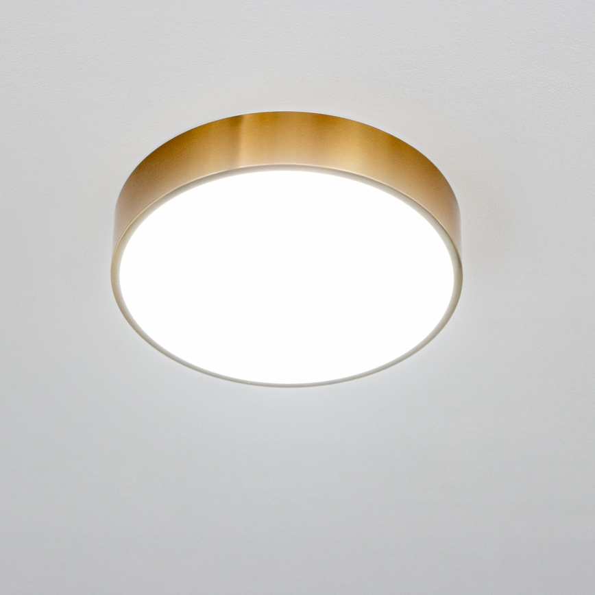 Brilagi - POOL LED Bathroom Ceiling Light/24W/230V 3000/4000/5500K dia. 30 cm IP54 Bronze