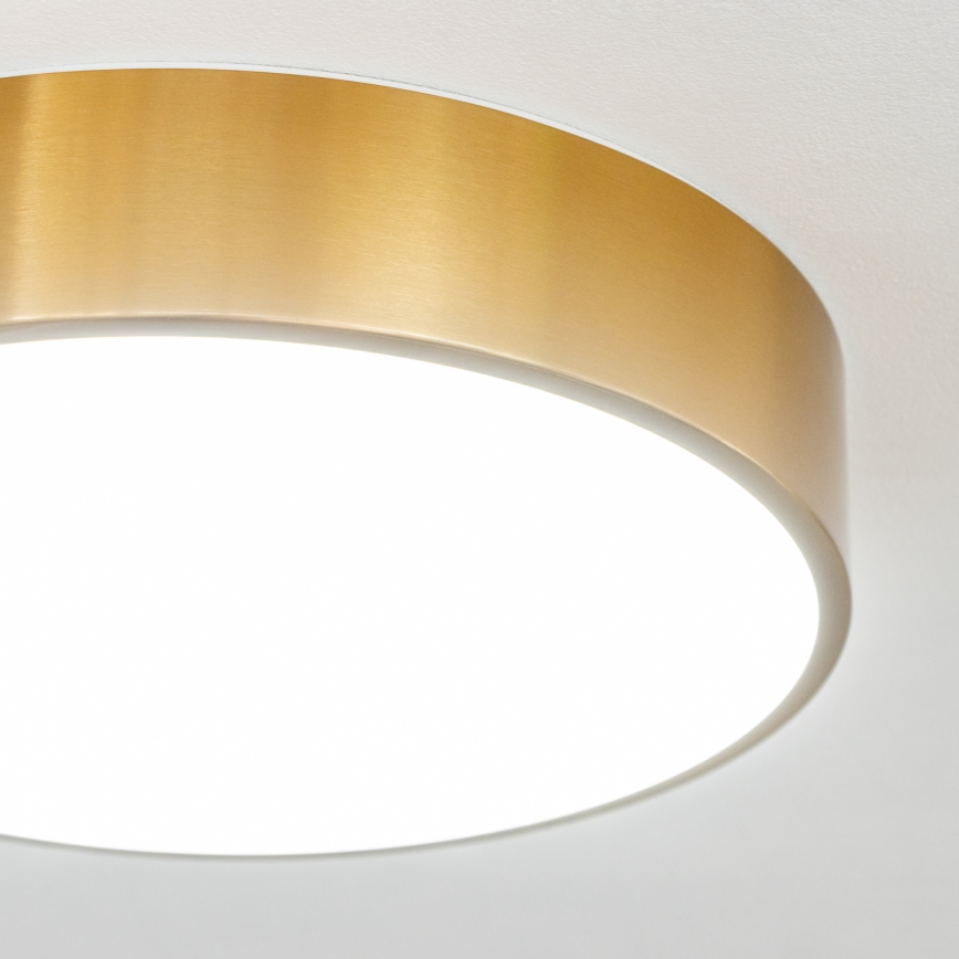 Brilagi - POOL LED Bathroom Ceiling Light/24W/230V 3000/4000/5500K dia. 30 cm IP54 Bronze