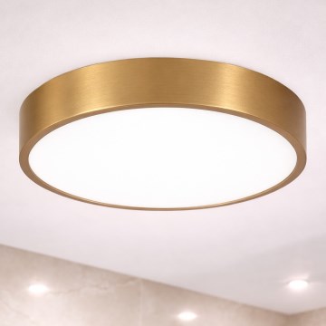 Brilagi - POOL LED Bathroom Ceiling Light 36W/230V, 3000/4000/5500K, Ø40 cm, IP54, Bronze