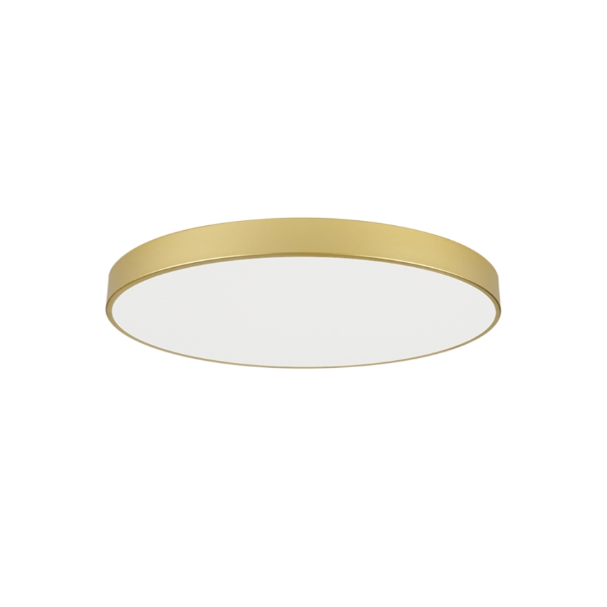 Brilagi - POOL LED Ceiling Light 100W/230V 3000/4000/6000K Ø 80 cm, Gold