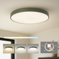 Brilagi - POOL LED Ceiling Light, 100W, 230V, 3000/4000/6000K, Ø 80 cm, Green