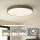 Brilagi - POOL LED Ceiling Light, 100W, 230V, 3000/4000/6000K, Ø 80 cm, Green