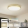 Brilagi - POOL LED Ceiling Light, 100W, 230V, 3000/4500/6000K, Ø 80 cm, Gold