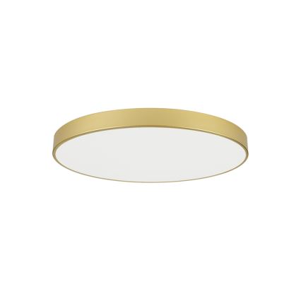 Brilagi - POOL LED Ceiling Light 100W/230V 3000/4500/6000K Ø 80 cm, Gold