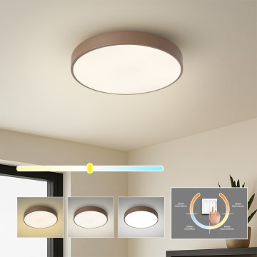 Brilagi - POOL LED Ceiling Light 36W/230V, 3000/4000/6000K, Ø 30 cm, Brown