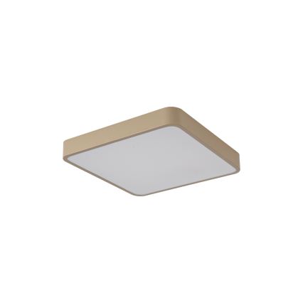 Brilagi - POOL LED Ceiling Light 36W/230V 3000/4500/6000K 40x40 cm beige