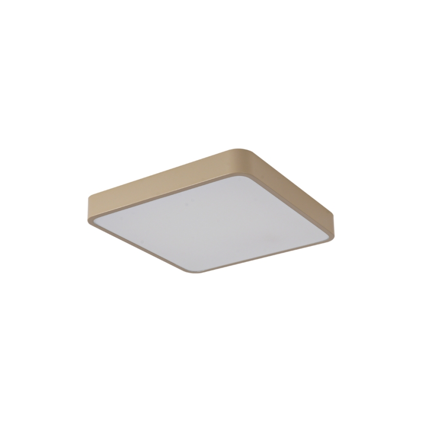 Brilagi - POOL LED Ceiling Light 36W/230V 3000/4500/6000K 40x40 cm beige
