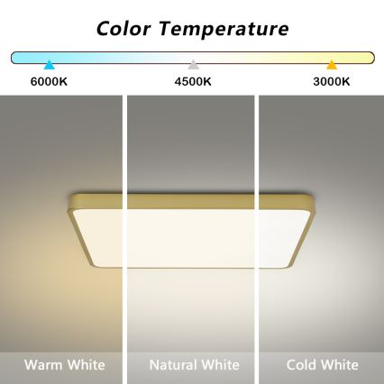 Brilagi - POOL LED Ceiling Light 36W/230V 3000/4500/6000K 40x40 cm gold