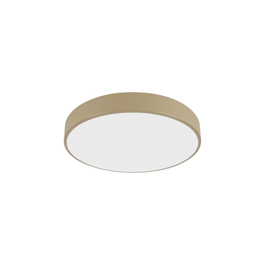 Brilagi - POOL LED Ceiling Light 36W/230V 3000/4500/6000K Ø 30 cm beige