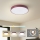 Brilagi - POOL LED Ceiling Light, 36W / 230V, Tunable White 3000/4000/6000K, Ø 30 cm, Burgundy