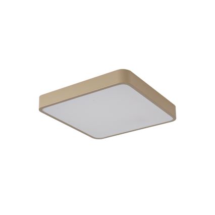 Brilagi - POOL LED Ceiling Light 48W/230V 3000/4000/6000K 50x50 cm beige