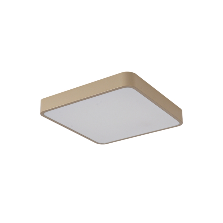 Brilagi - POOL LED Ceiling Light 48W/230V 3000/4000/6000K 50x50 cm beige
