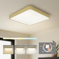 Brilagi - POOL LED Ceiling Light 48W/230V 3000/4000/6000K 50x50 cm Gold