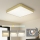 Brilagi - POOL LED Ceiling Light 48W/230V 3000/4000/6000K 50x50 cm Gold