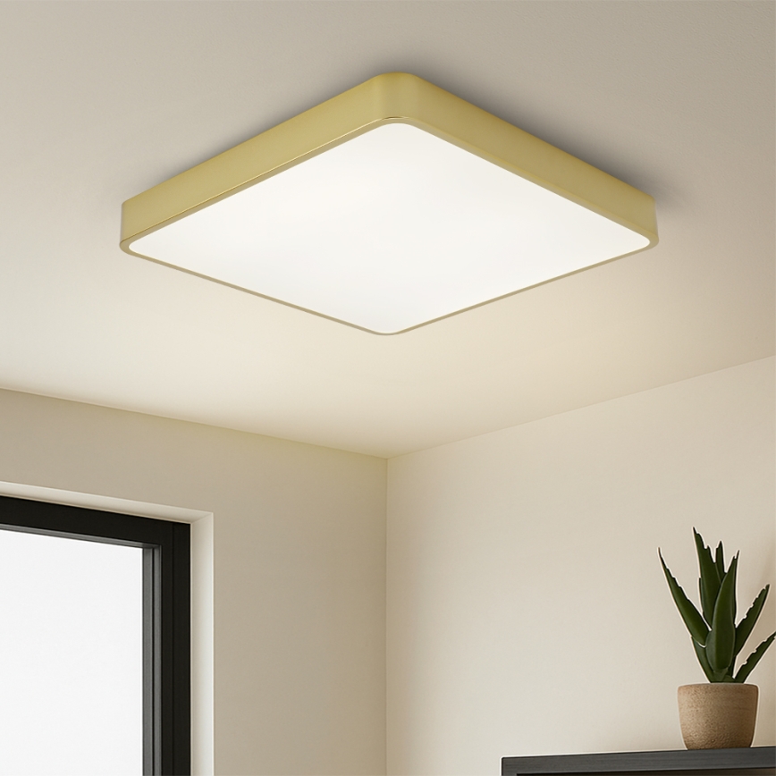 Brilagi - POOL LED Ceiling Light 48W/230V 3000/4000/6000K 50x50 cm Gold