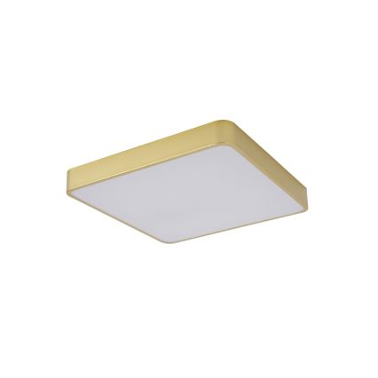 Brilagi - POOL LED Ceiling Light 48W/230V 3000/4000/6000K 50x50 cm Gold
