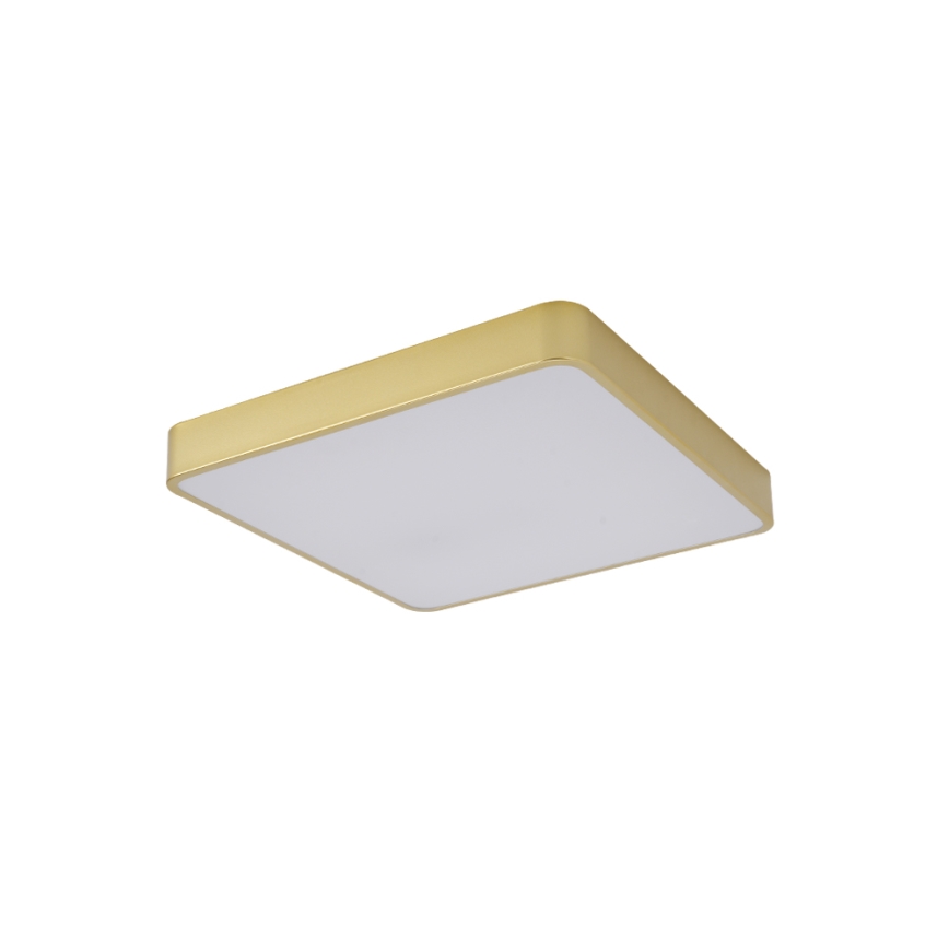 Brilagi - POOL LED Ceiling Light 48W/230V 3000/4000/6000K 50x50 cm Gold