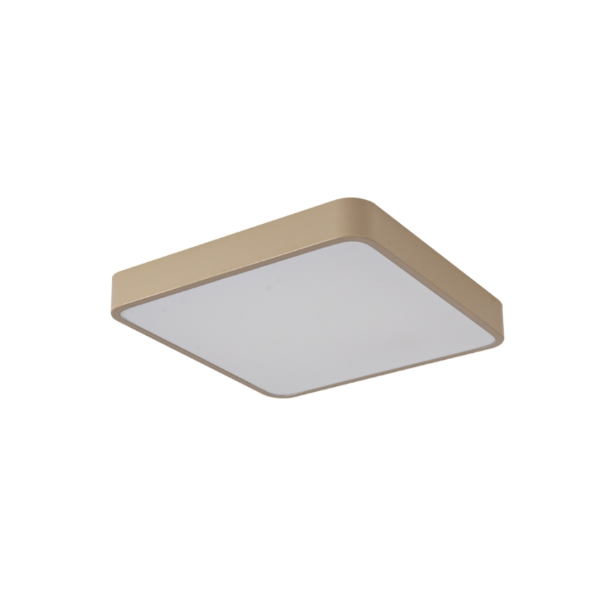 Brilagi - POOL LED ceiling light 48W/230V 3000/4500/6000K 50x50 cm beige