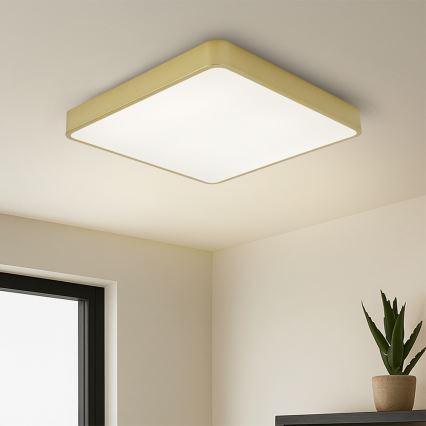 Brilagi - POOL LED Ceiling Light 48W/230V 3000/4500/6000K 50x50 cm Gold