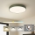 Brilagi - POOL LED Ceiling Light 48W/230V, Switchable 3000/4000/6000K, Ø 40 cm, Green