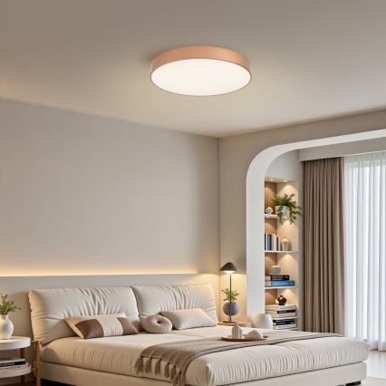 BRILAGI - LED Ceiling Light POOL LED/60W/230V 3000/4000/6000K Ø 50 cm Bronze